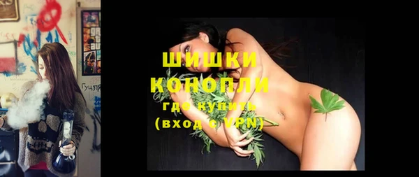 ГАЛЛЮЦИНОГЕННЫЕ ГРИБЫ Костерёво