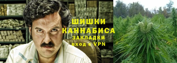 ГАЛЛЮЦИНОГЕННЫЕ ГРИБЫ Костерёво