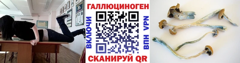 Псилоцибиновые грибы GOLDEN TEACHER  что такое   Кинешма 