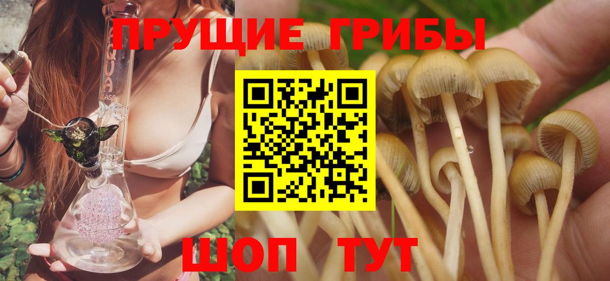 Галлюциногенные грибы мухоморы Кинешма
